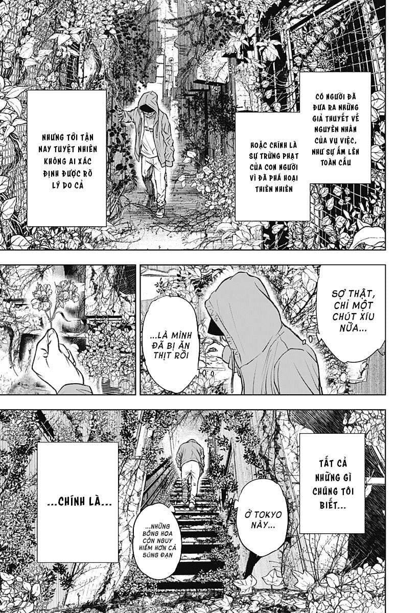 Wild Strawberry Chap 1 - Next Chap 2