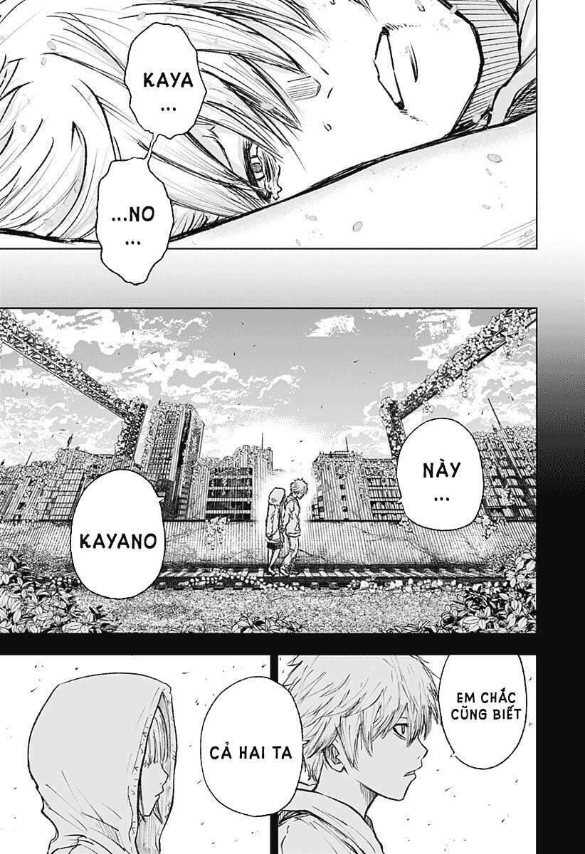 Wild Strawberry Chap 1 - Next Chap 2