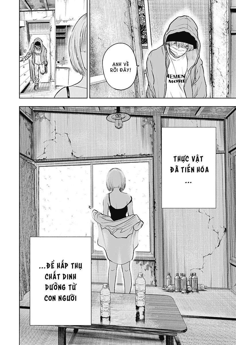 Wild Strawberry Chap 1 - Next Chap 2