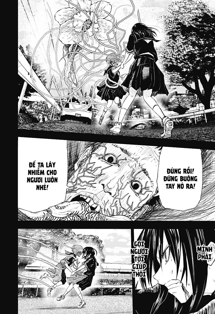 Wild Strawberry Chap 10 - Next Chap 11