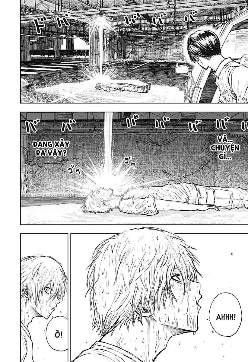 Wild Strawberry Chap 3 - Next Chap 4