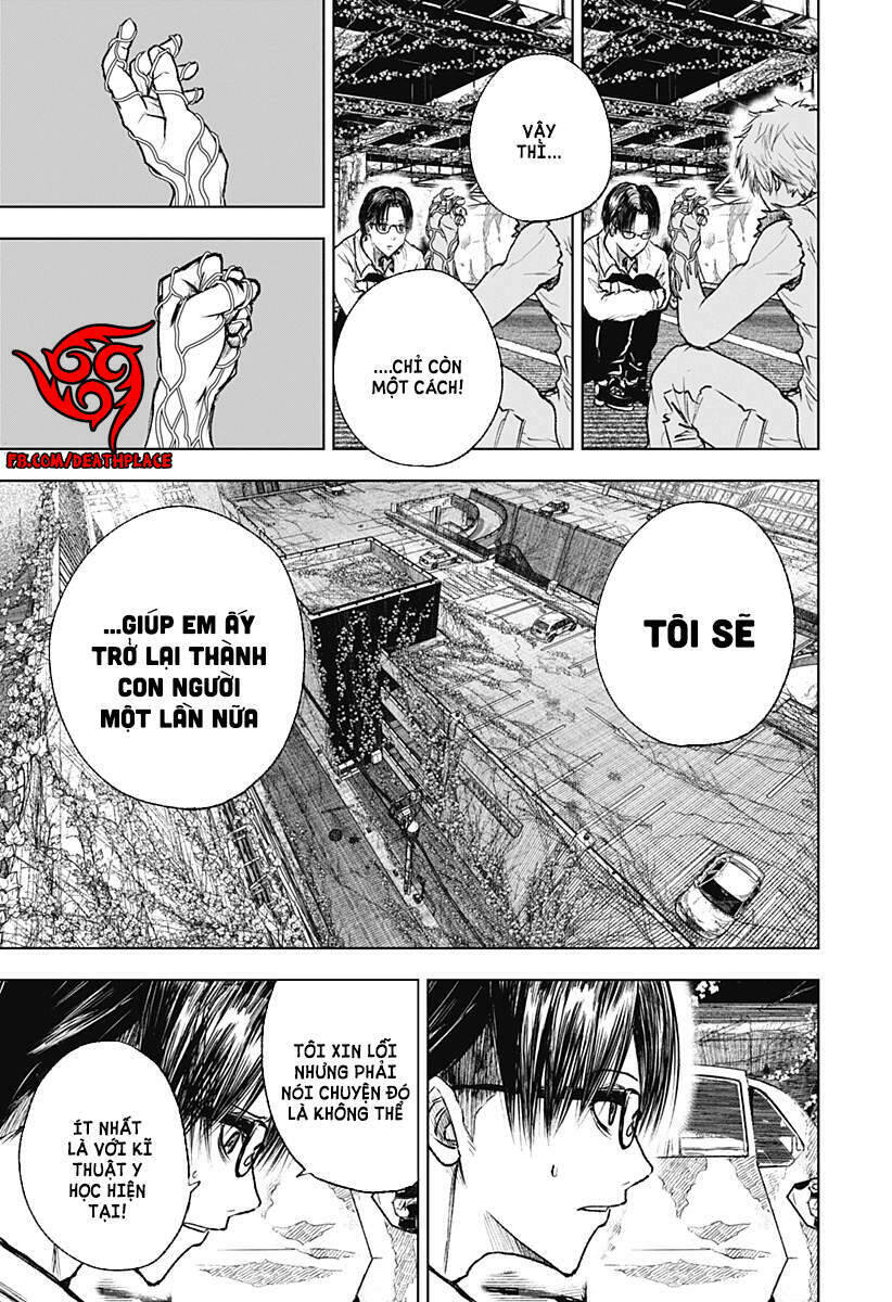 Wild Strawberry Chap 3 - Next Chap 4