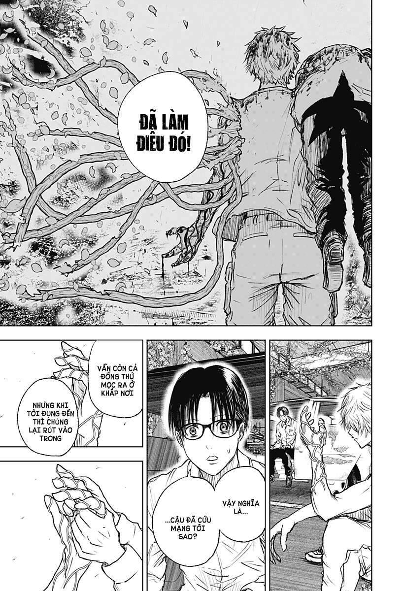 Wild Strawberry Chap 3 - Next Chap 4