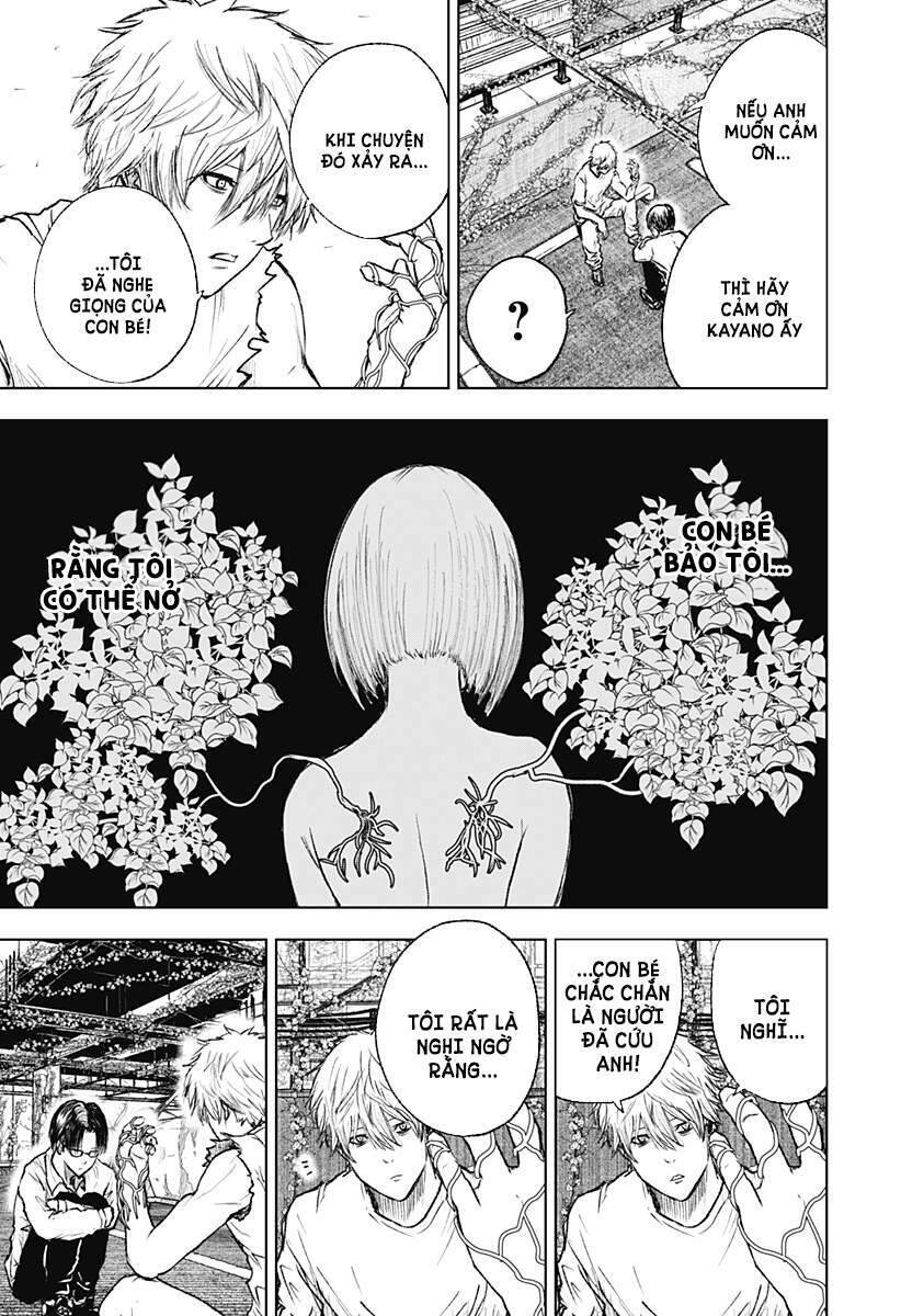 Wild Strawberry Chap 3 - Next Chap 4