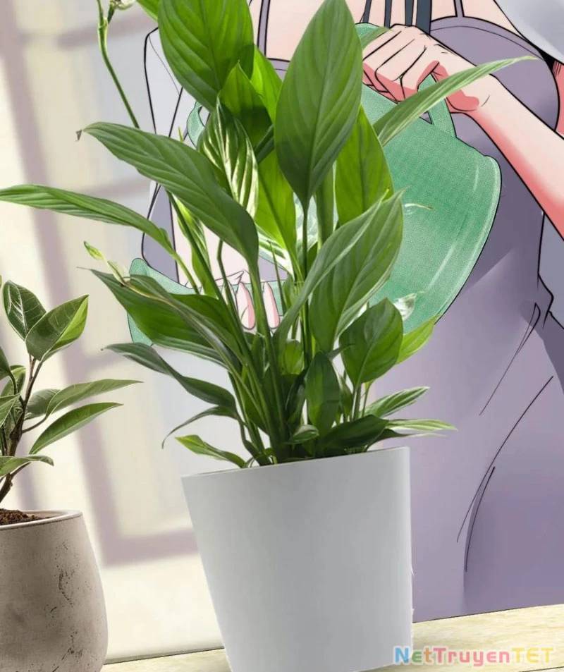 Ta Có 90 Tỷ Tiền Liếm Cẩu! Chap 489 - Next Chap 490