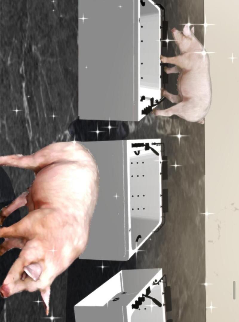 Ta Có 90 Tỷ Tiền Liếm Cẩu! Chap 149 - Next Chap 150