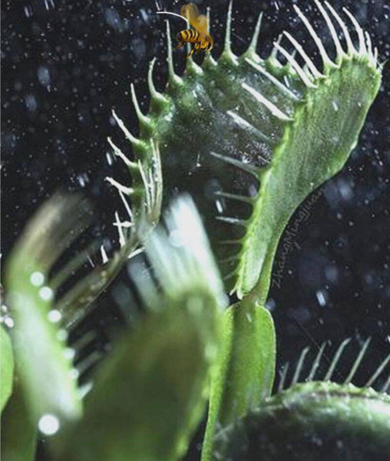 Ta Có 90 Tỷ Tiền Liếm Cẩu! Chap 154 - Next Chap 155