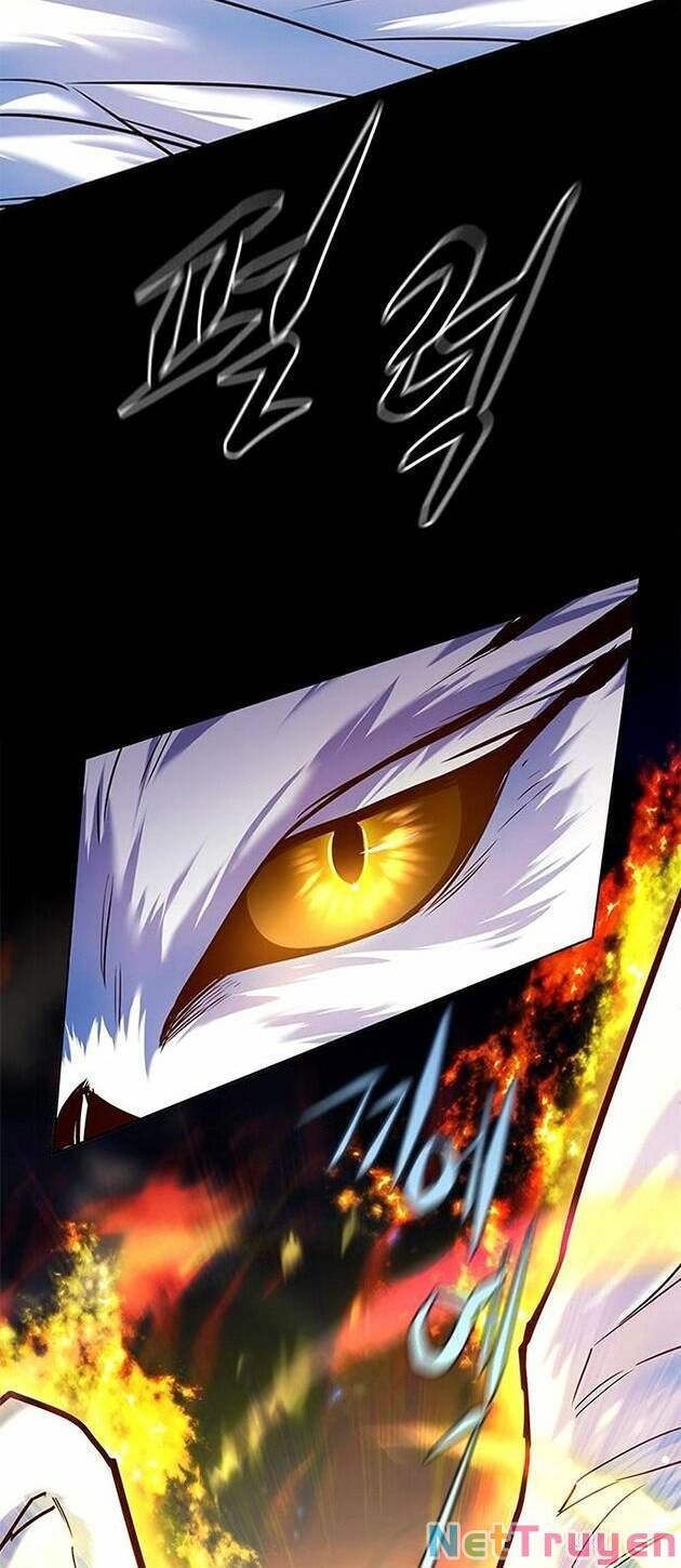 Hoá Thân Thành Mèo Chap 221 - Next Chap 222