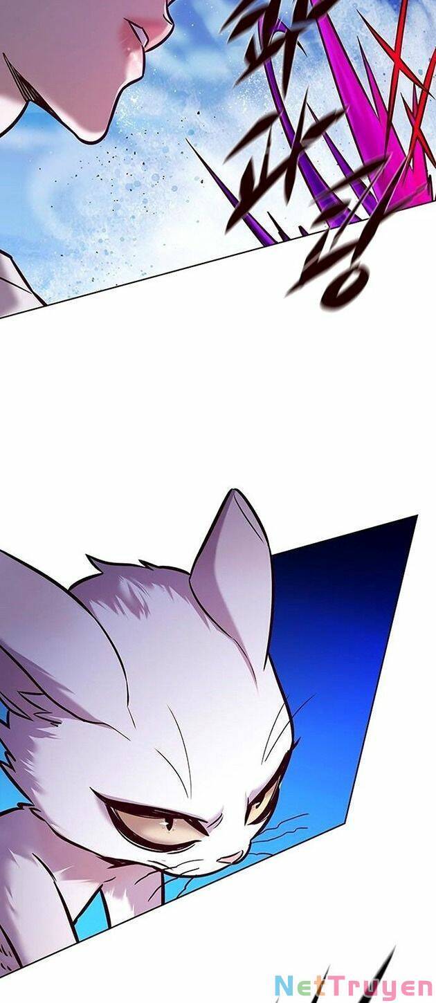 Hoá Thân Thành Mèo Chap 221 - Next Chap 222