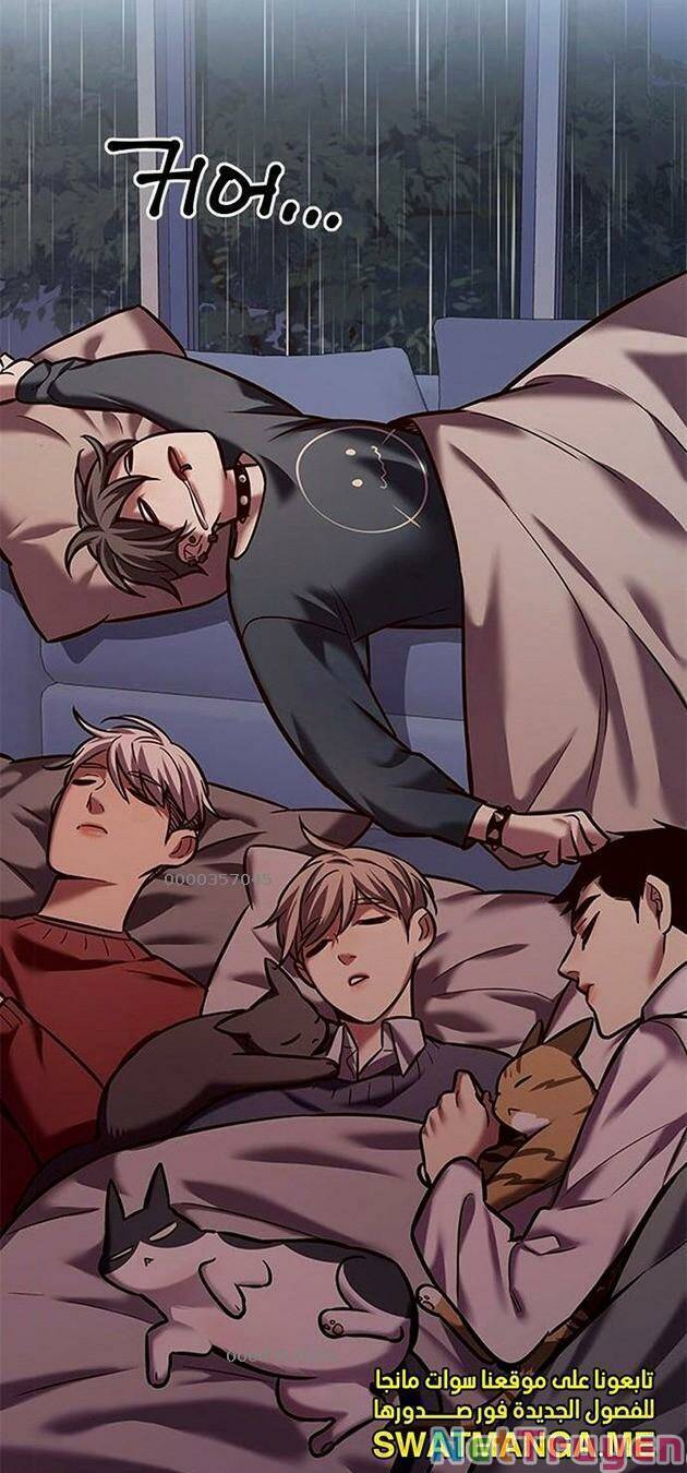 Hoá Thân Thành Mèo Chap 224 - Next Chap 225