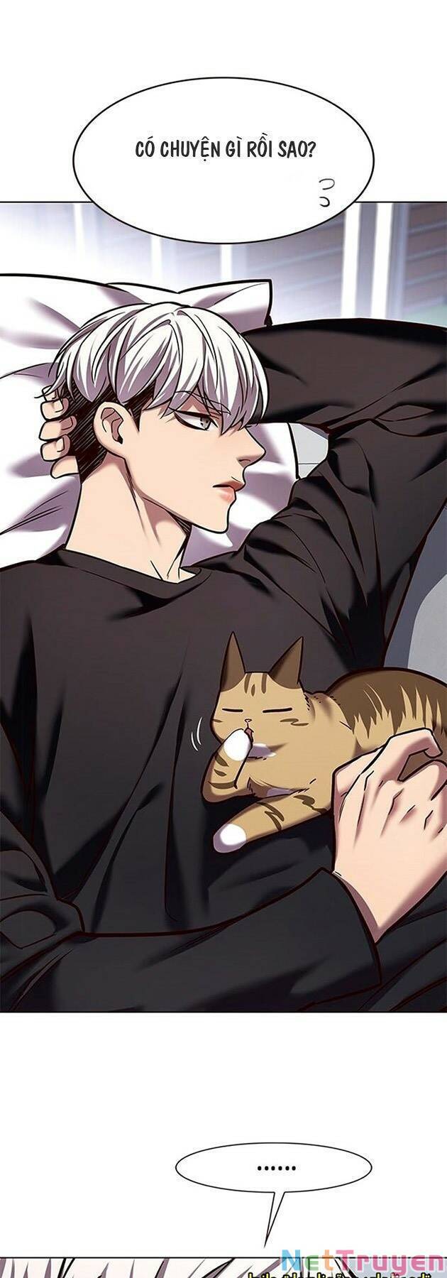 Hoá Thân Thành Mèo Chap 224 - Next Chap 225