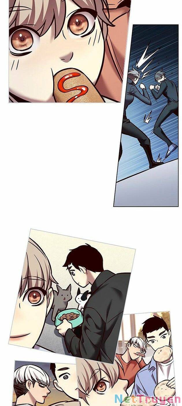 Hoá Thân Thành Mèo Chap 225 - Next Chap 226