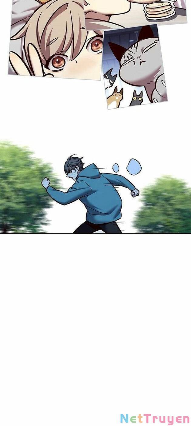 Hoá Thân Thành Mèo Chap 225 - Next Chap 226