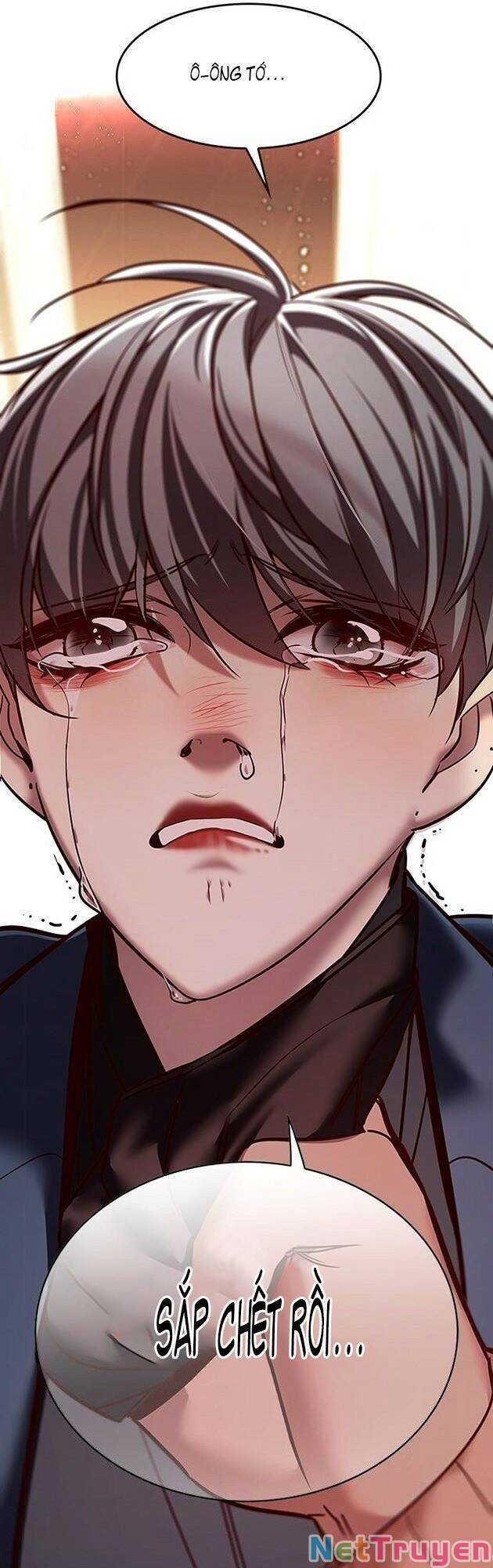 Hoá Thân Thành Mèo Chap 226 - Next Chap 227