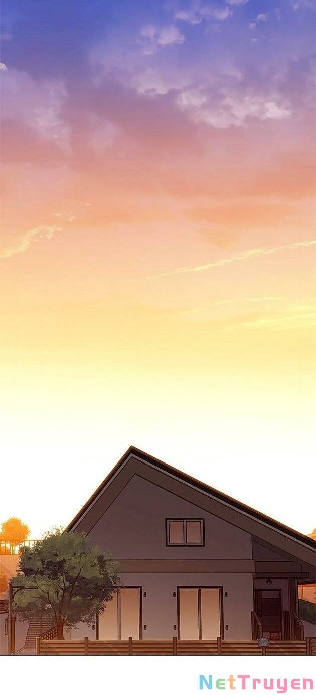 Hoá Thân Thành Mèo Chap 226 - Next Chap 227