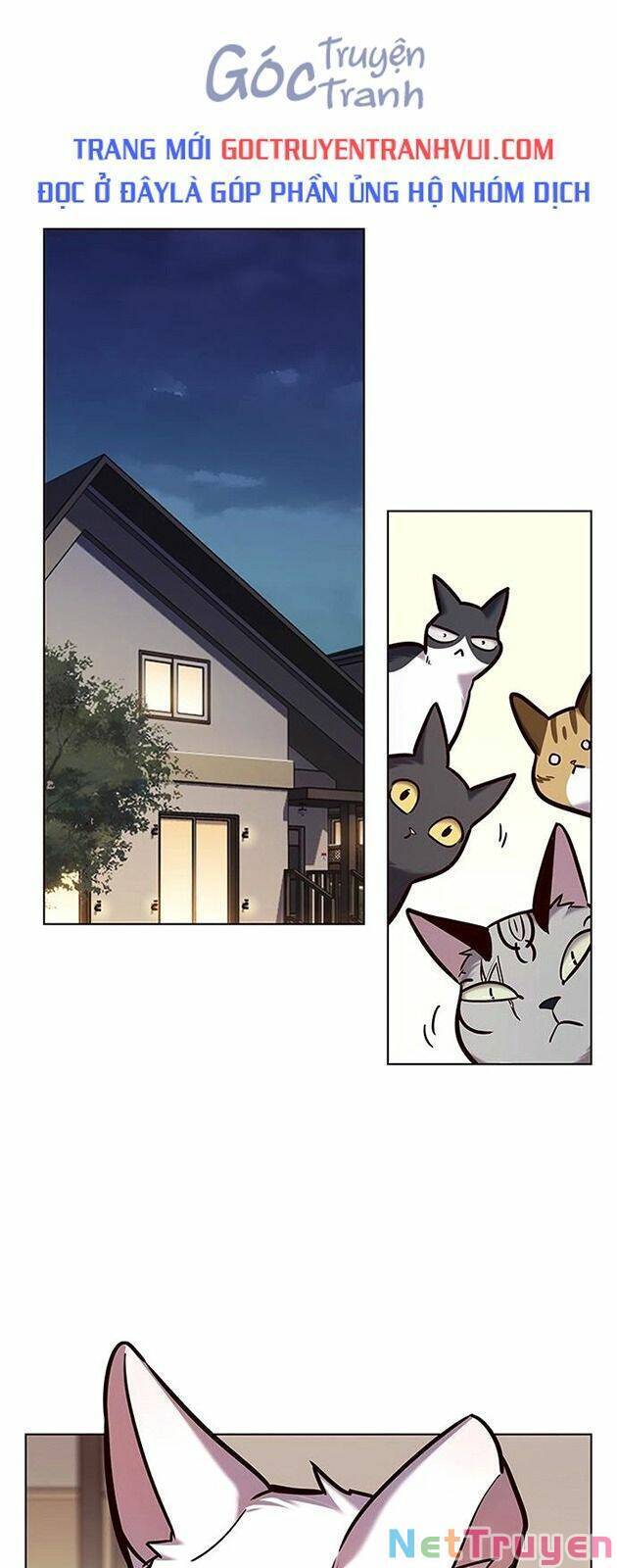 Hoá Thân Thành Mèo Chap 227 - Next Chap 228