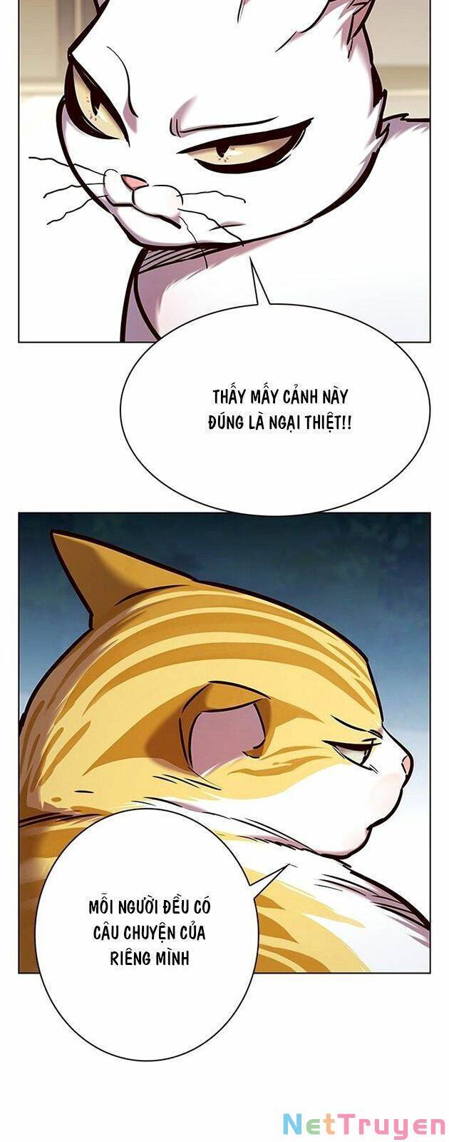 Hoá Thân Thành Mèo Chap 227 - Next Chap 228