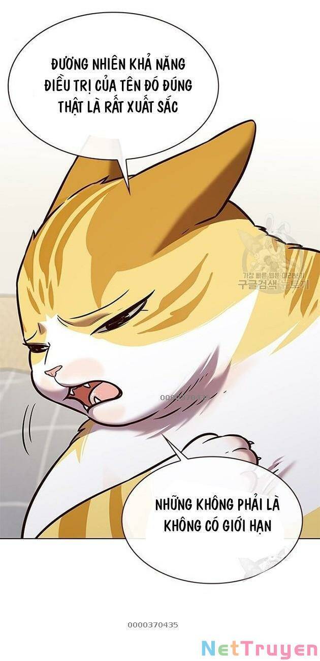 Hoá Thân Thành Mèo Chap 228 - Next Chap 229