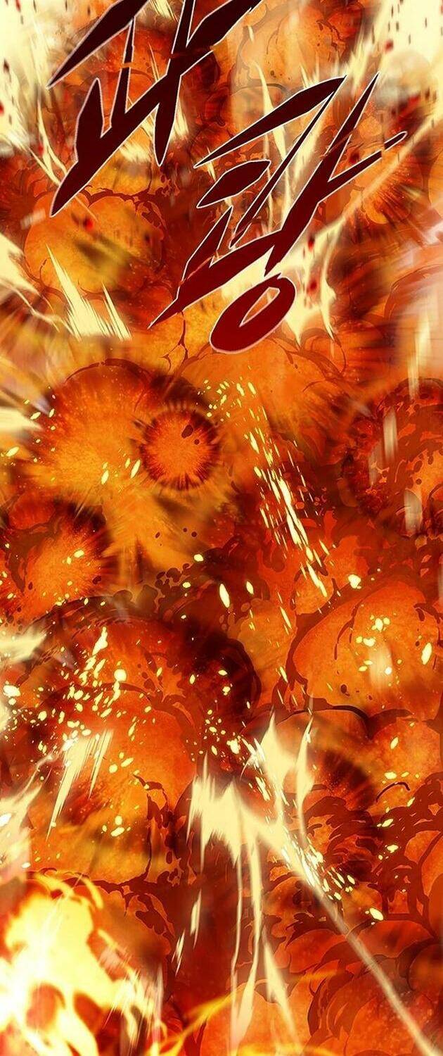 Hoá Thân Thành Mèo Chap 204 - Next Chap 205