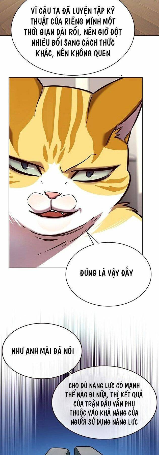 Hoá Thân Thành Mèo Chap 218 - Next Chap 219