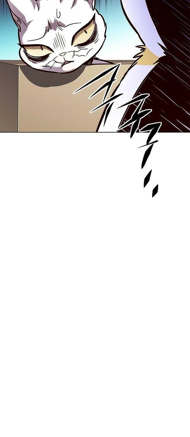 Hoá Thân Thành Mèo Chap 219 - Next Chap 220