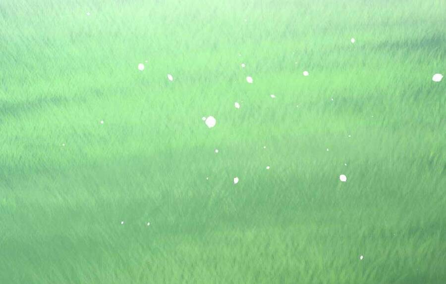 Ánh Sáng Cuối Con Đường Chap 154 - Next Chap 155