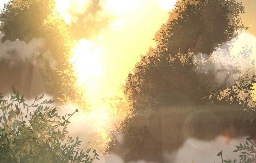 Ánh Sáng Cuối Con Đường Chap 155 - Next Chap 156