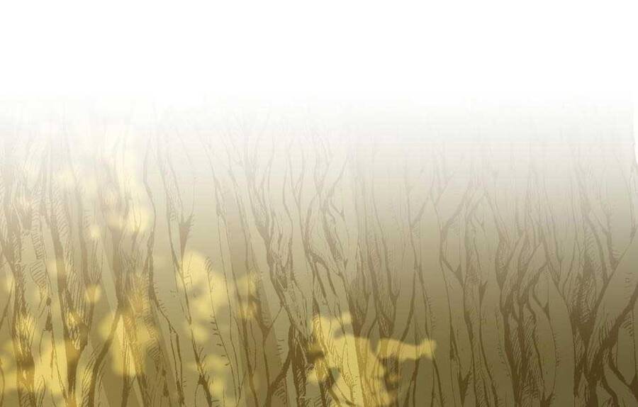 Ánh Sáng Cuối Con Đường Chap 155 - Next Chap 156