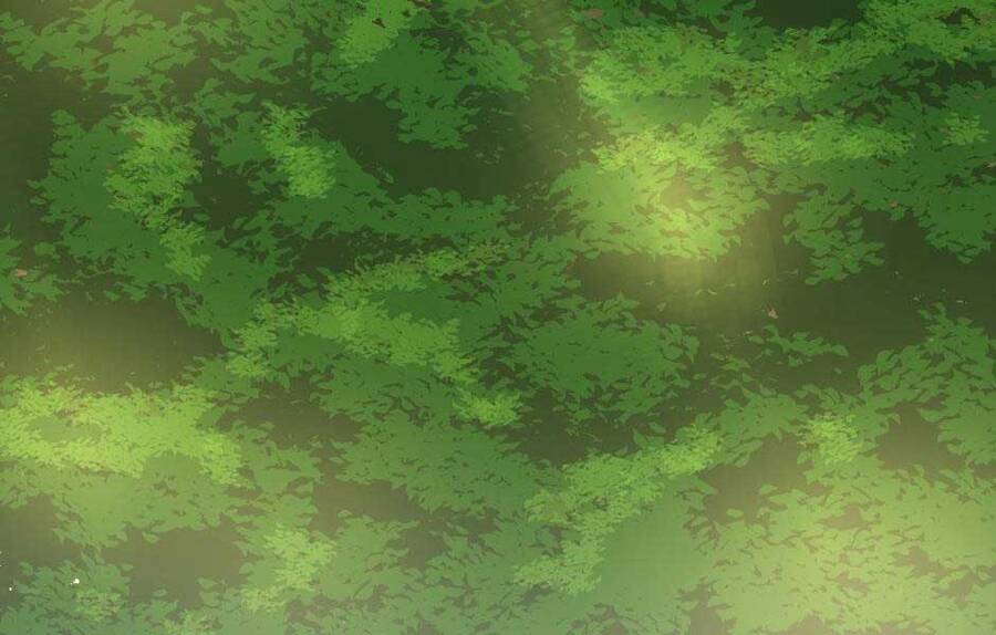 Ánh Sáng Cuối Con Đường Chap 155 - Next Chap 156