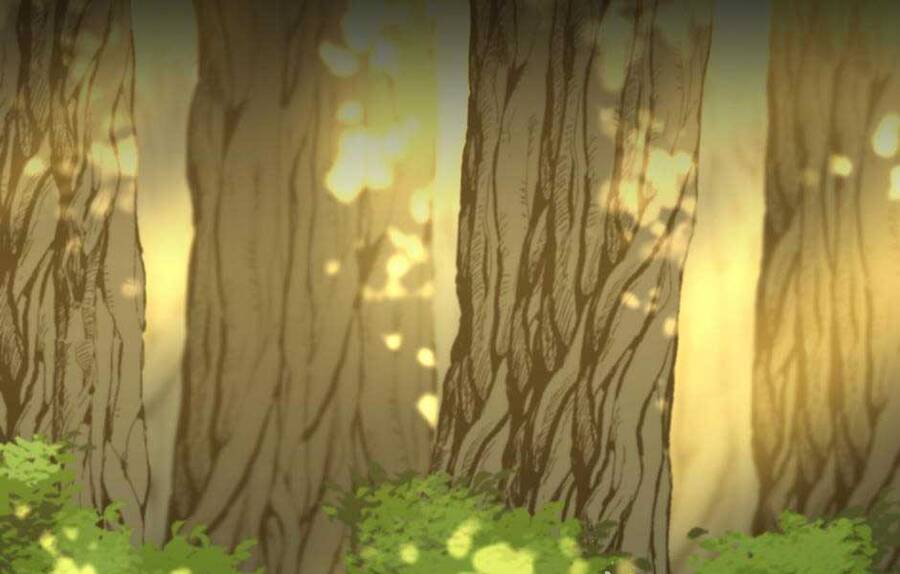 Ánh Sáng Cuối Con Đường Chap 155 - Next Chap 156