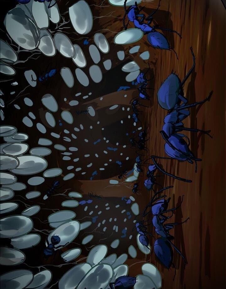 Vua Thăng Cấp Chap 9 - Next Chap 10