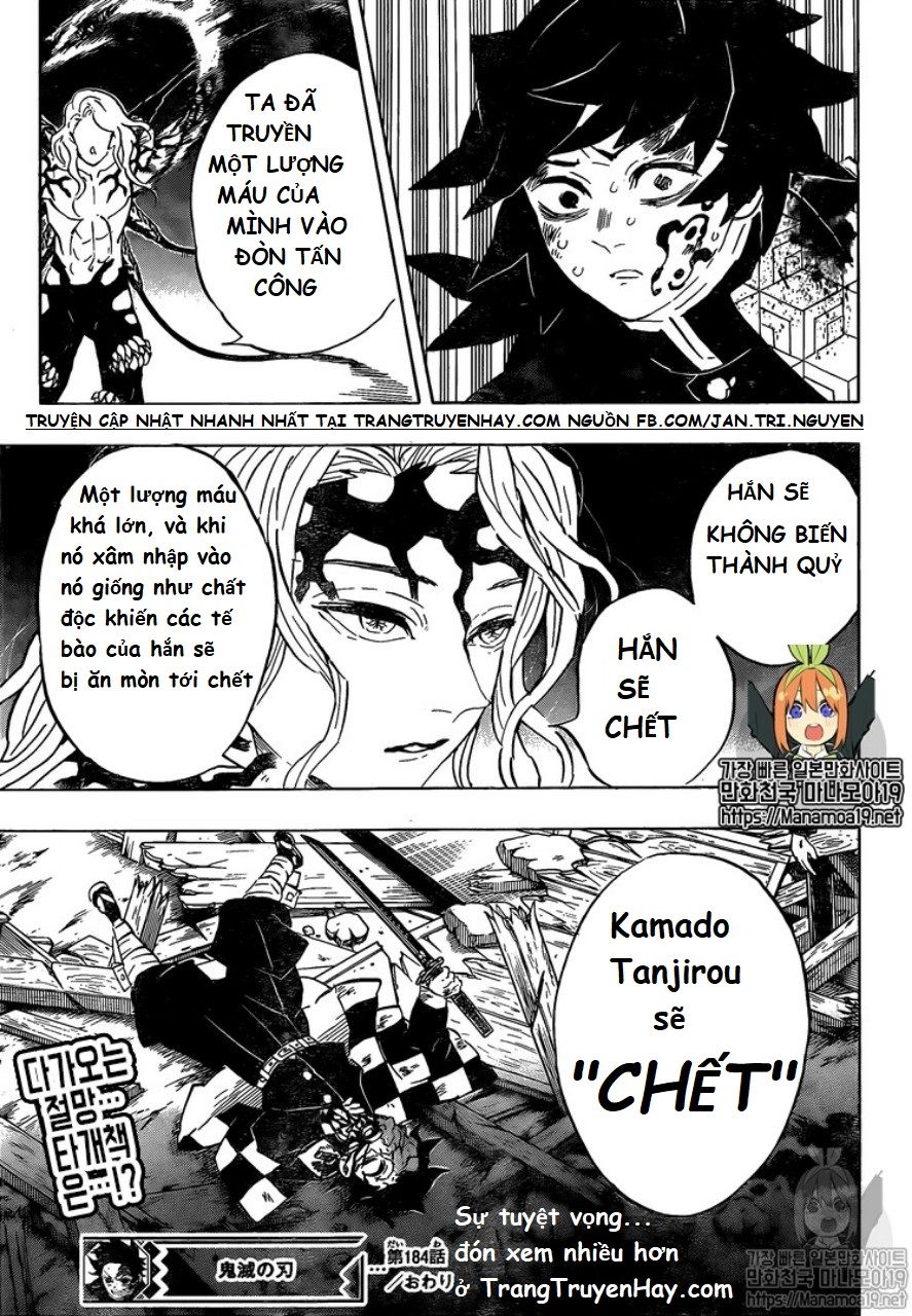 Thanh Gươm Diệt Quỷ Chap 184 - Next Chap 185