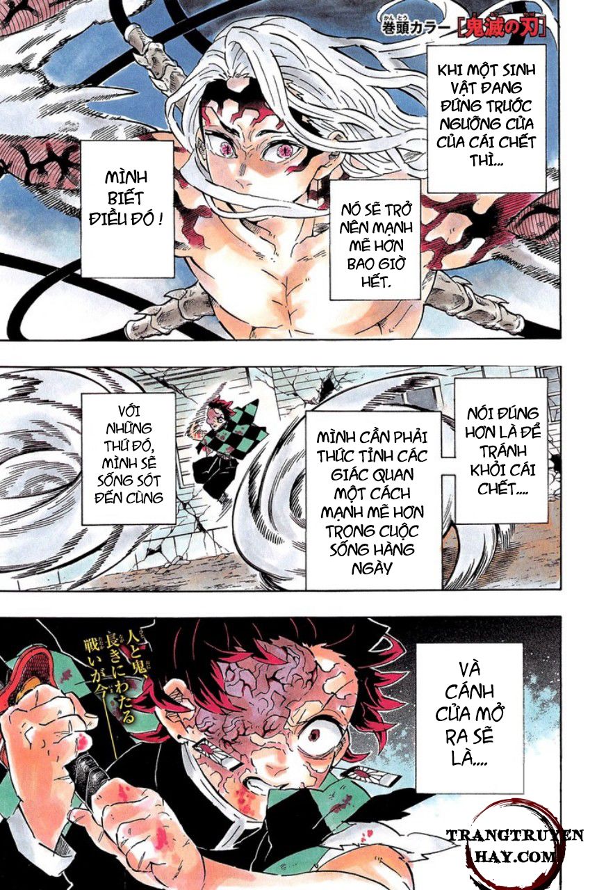 Thanh Gươm Diệt Quỷ Chap 193 - Next Chap 194