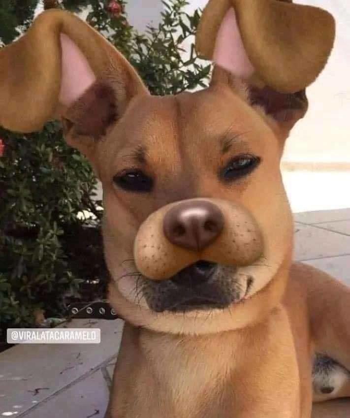 Thanh Gươm Diệt Quỷ Chap 170 - Next Chap 171