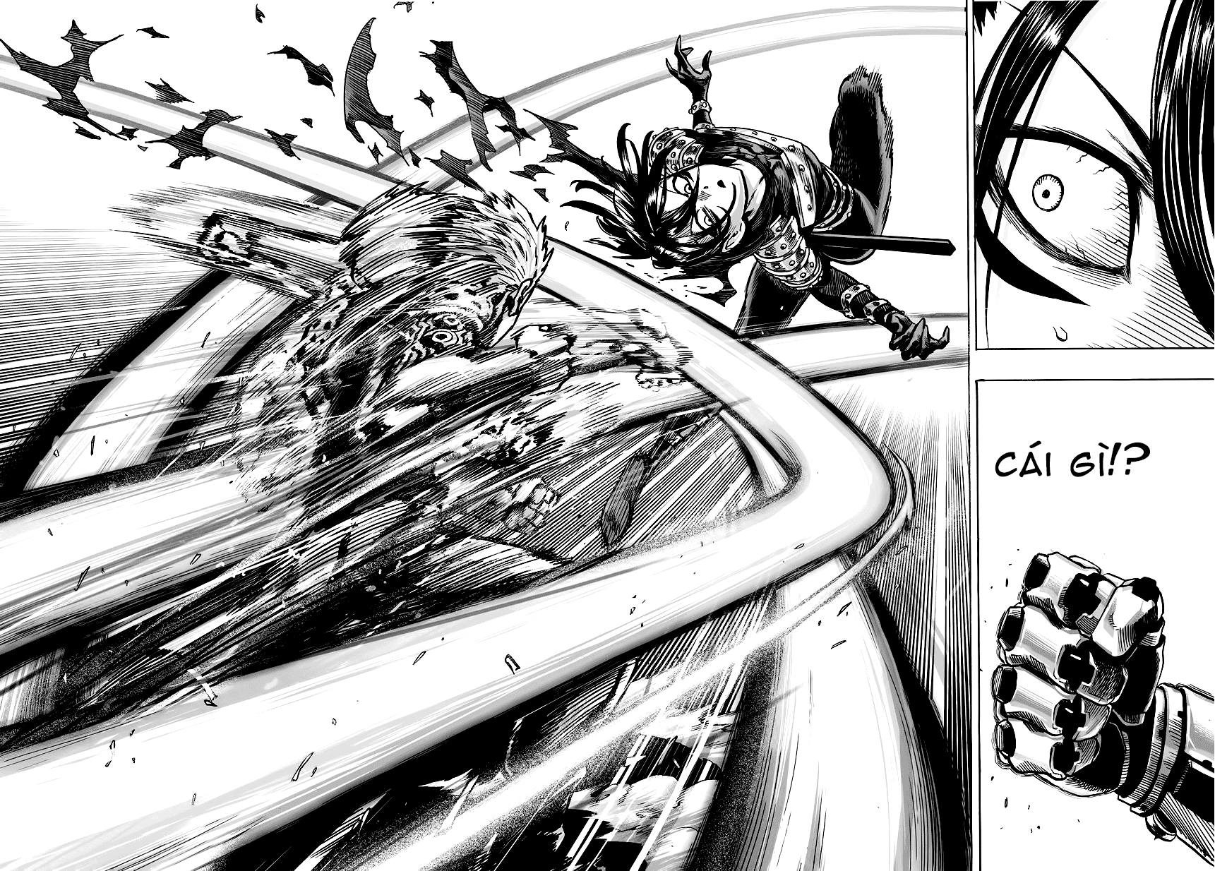 Onepunch Man Chap 61 - Next Chap 62