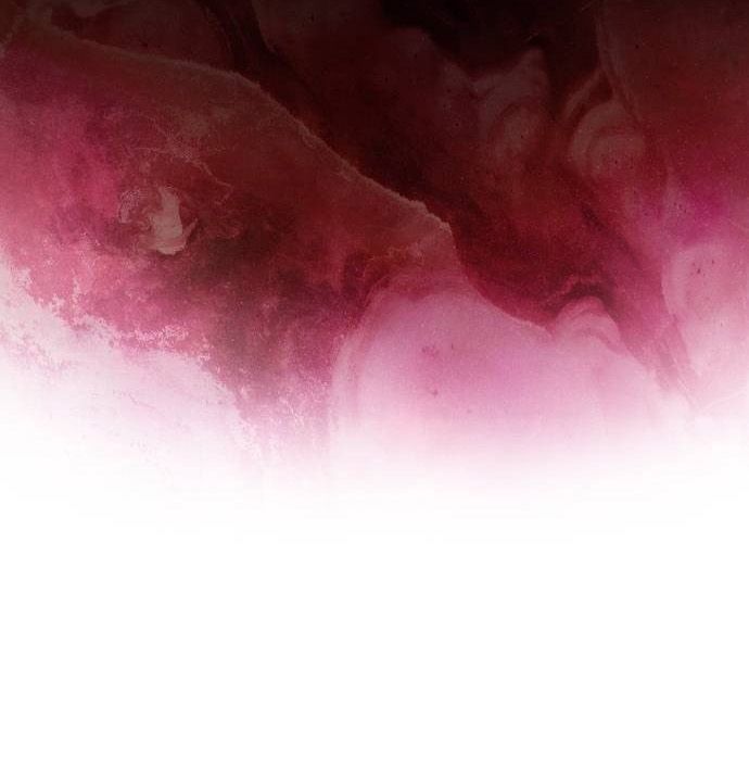 Người Chơi Mới Cấp Tối Đa Chap 233 - Next Chap 234