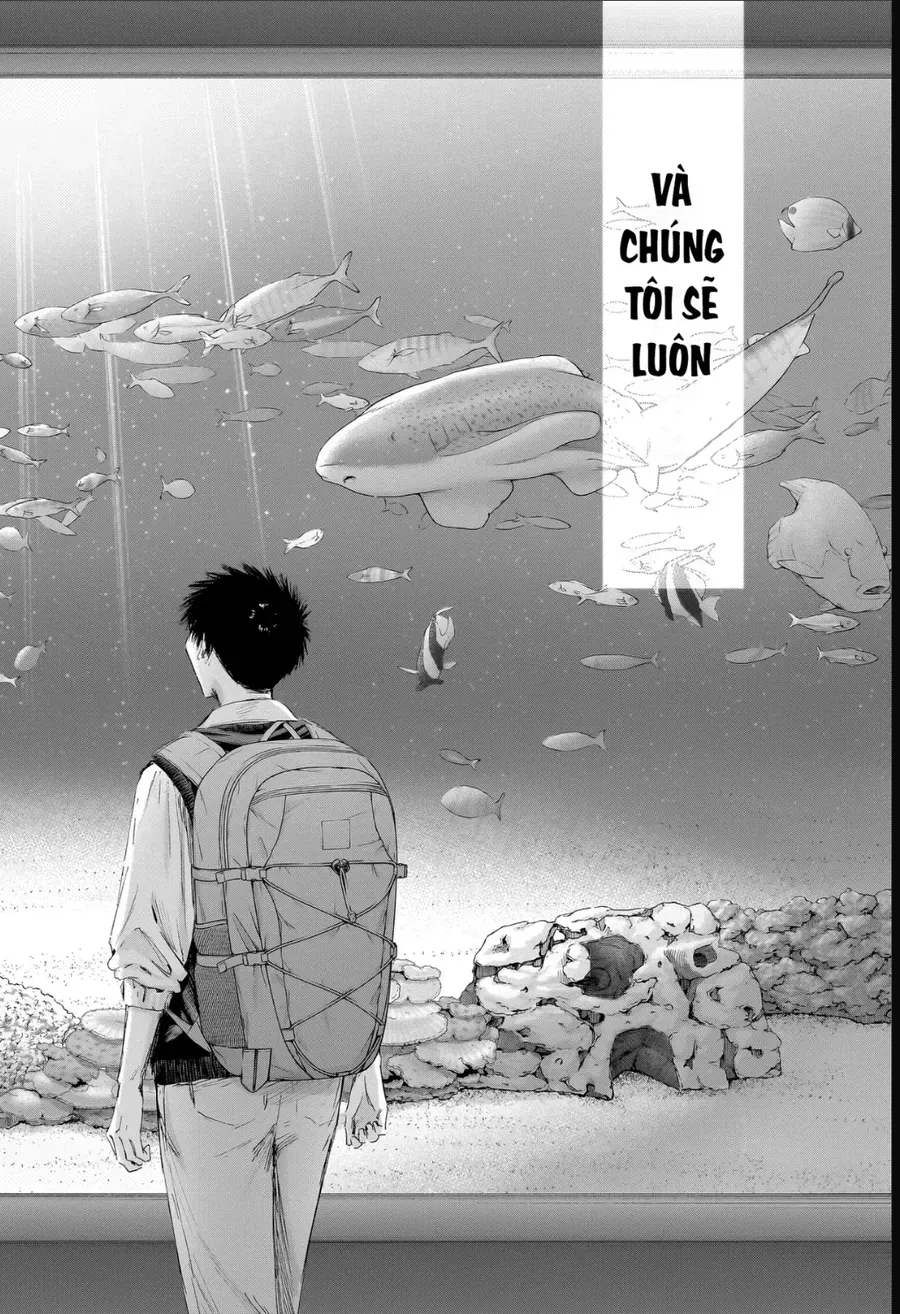 Blue Box Chap 235 - Next Chap 236