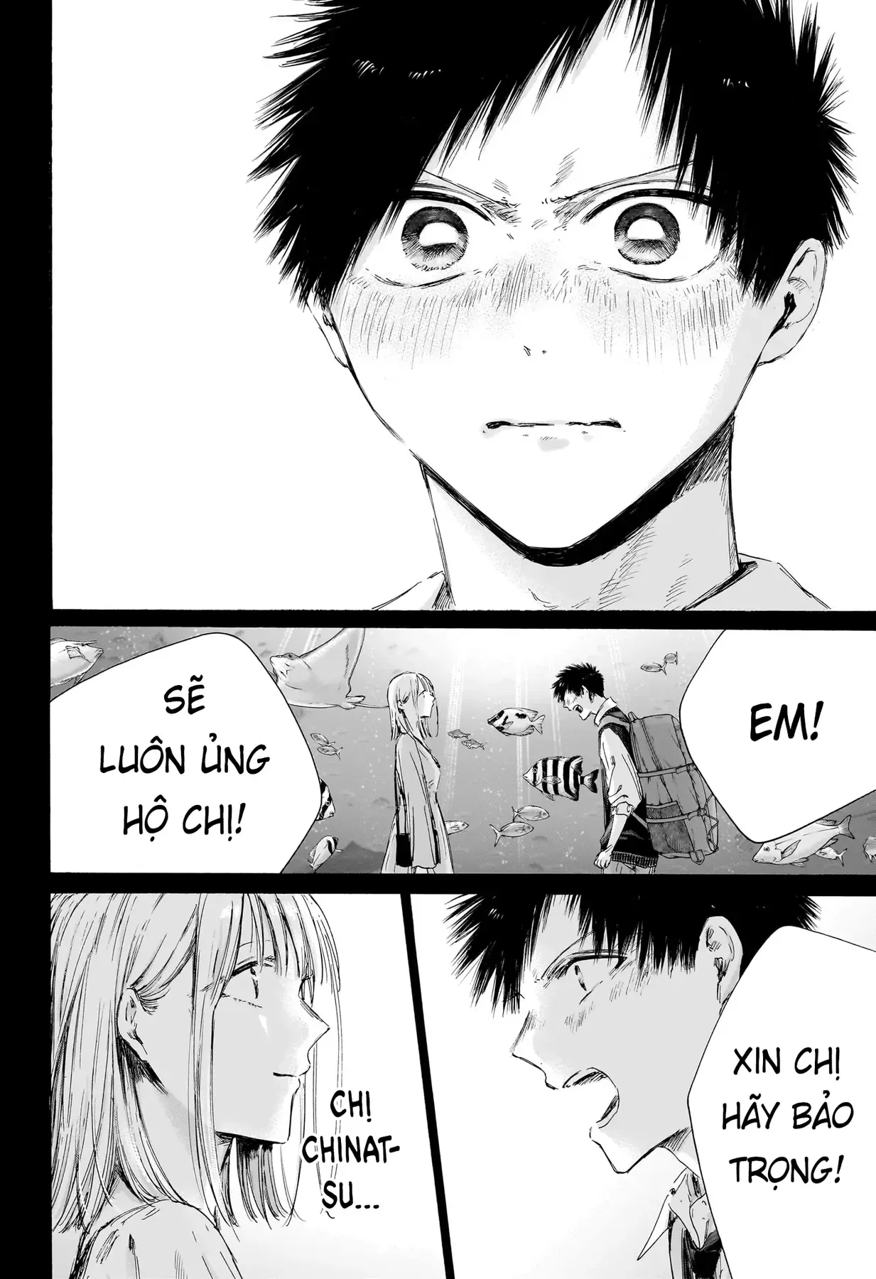Blue Box Chap 244 - Next Chap 245