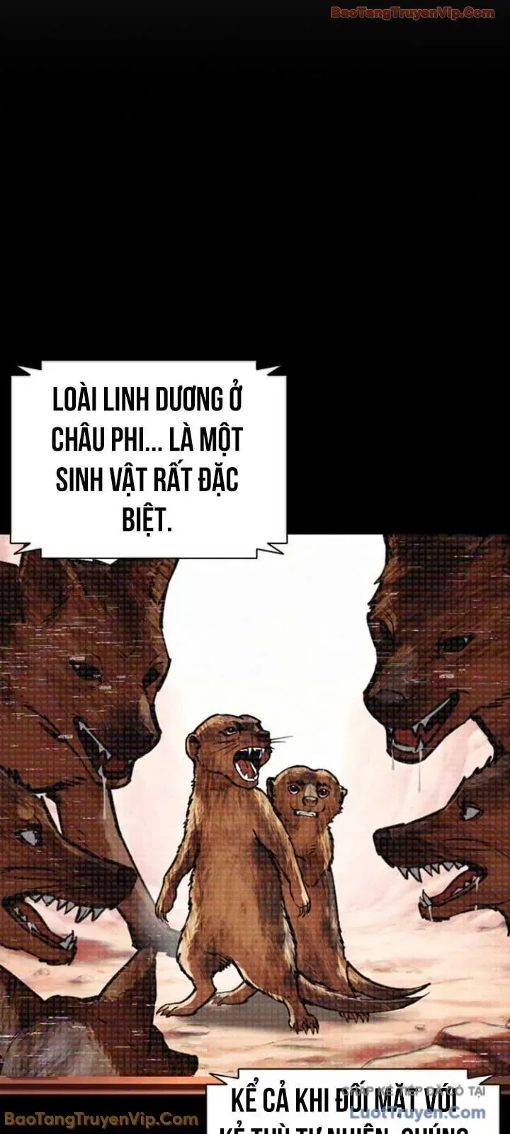 Hoán Đổi Diệu Kỳ Chap 595 - Next Chap 596