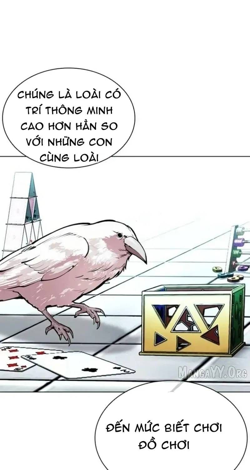 Hoán Đổi Diệu Kỳ Chap 597 - Next Chap 598