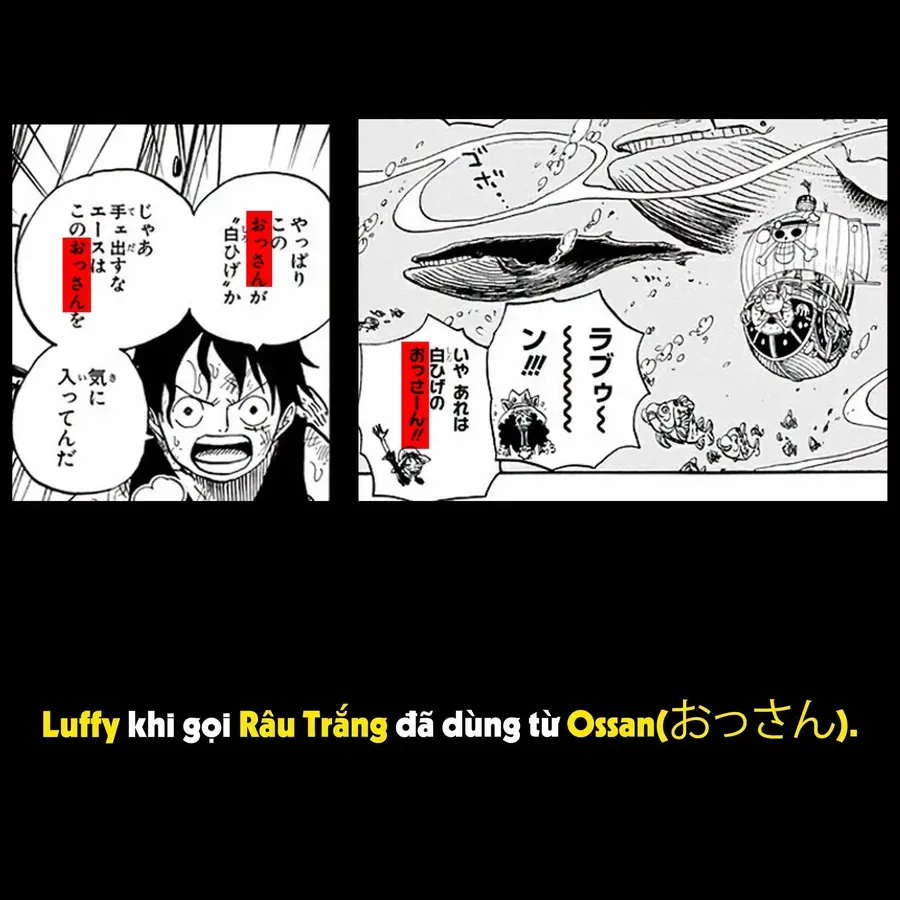 One Piece Chap 1191.1 - Next Chap 1192.1