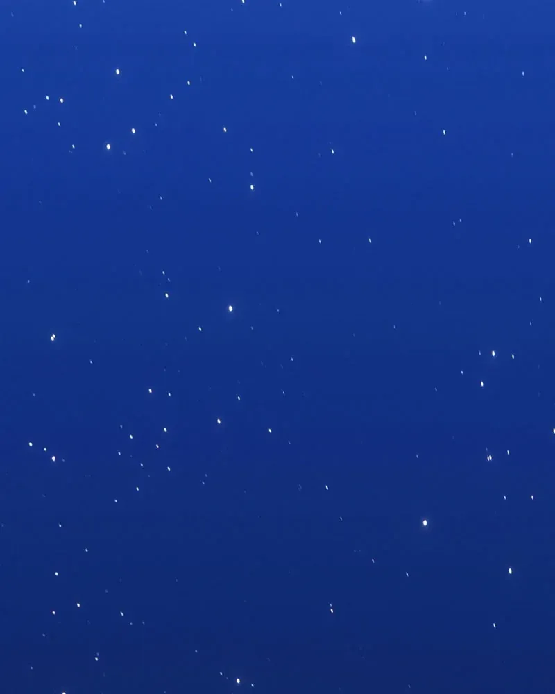 Gậy Gỗ Cấp 99+ Chap 185 - Next Chap 186