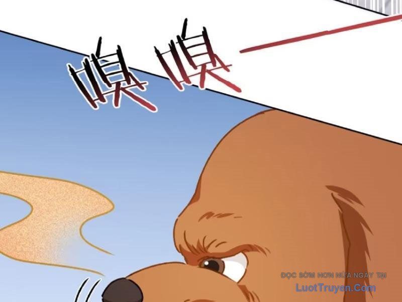 Bỏ Làm Simp Chúa, Ta Có Trong Tay Cả Tỉ Thần Hào Chap 253 - Next Chap 254