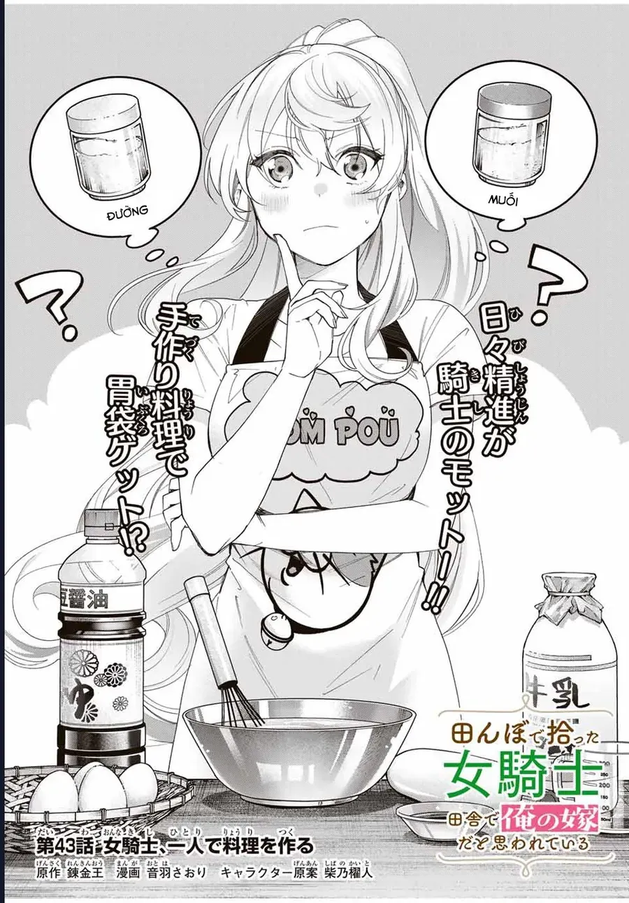 I Found A Female Knight In A Rice Field, In The Countryside They Think She’s My Wife Chap 43 - Next Chap 44