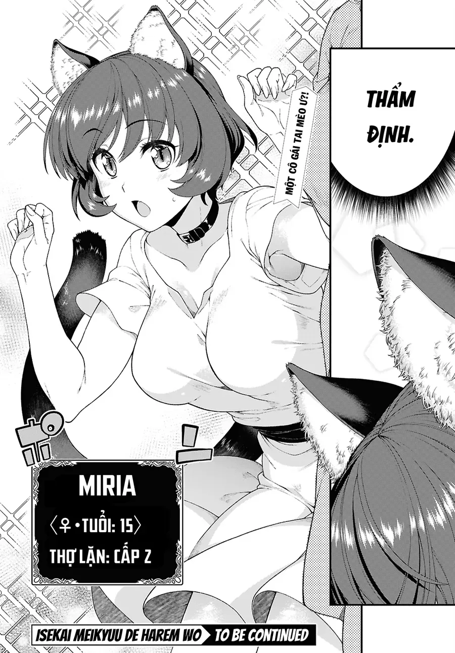 Thiết Lập Dàn Harem Tại Thế Giới Khác Chap 101 - Next Chap 102