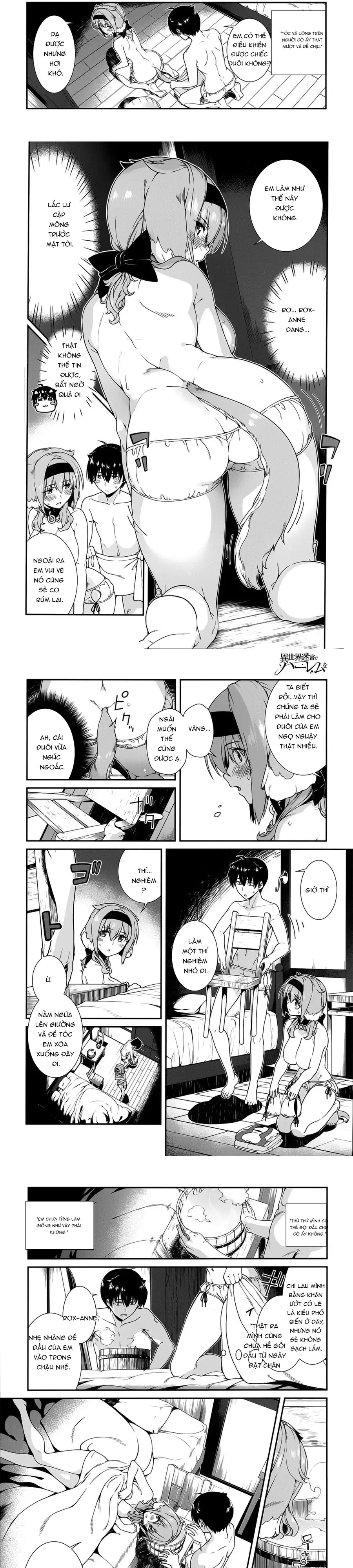 Thiết Lập Dàn Harem Tại Thế Giới Khác Chap 11 - Next Chap 12