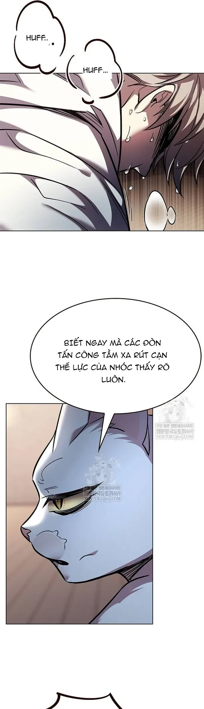 Hoá Thân Thành Mèo Chap 377 - Next Chap 378