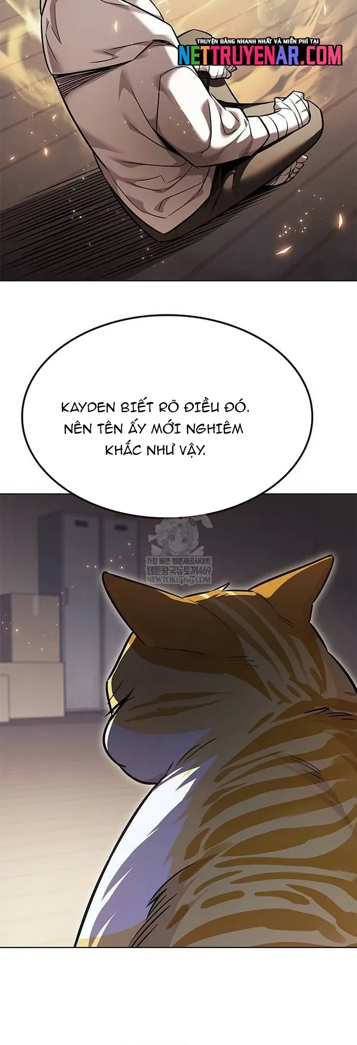 Hoá Thân Thành Mèo Chap 377 - Next Chap 378