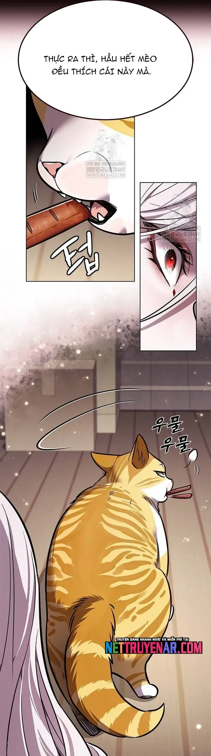 Hoá Thân Thành Mèo Chap 377 - Next Chap 378