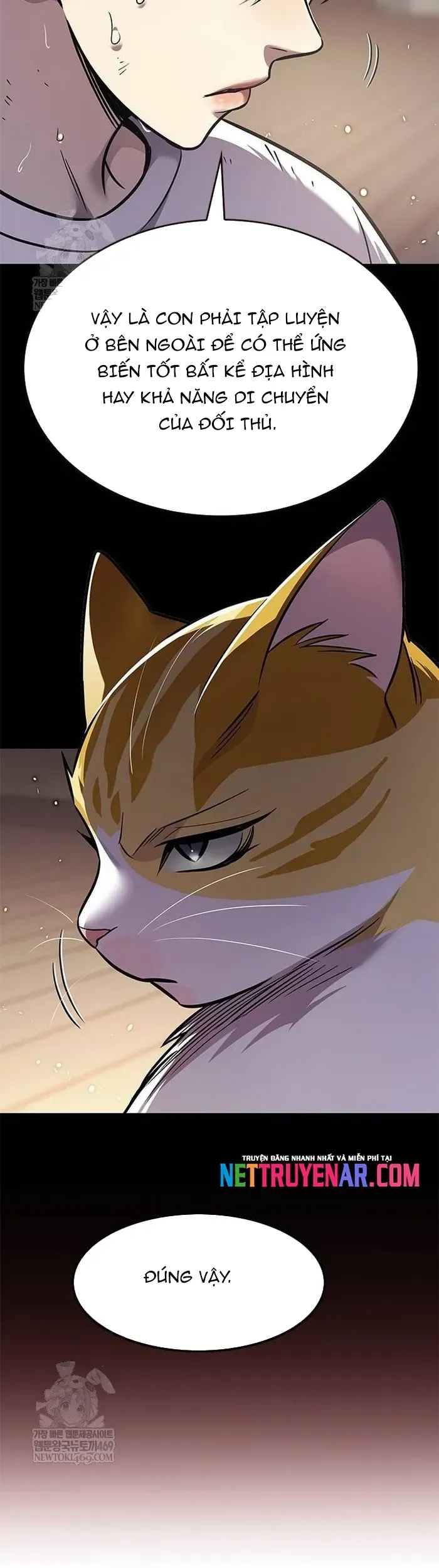 Hoá Thân Thành Mèo Chap 377 - Next Chap 378